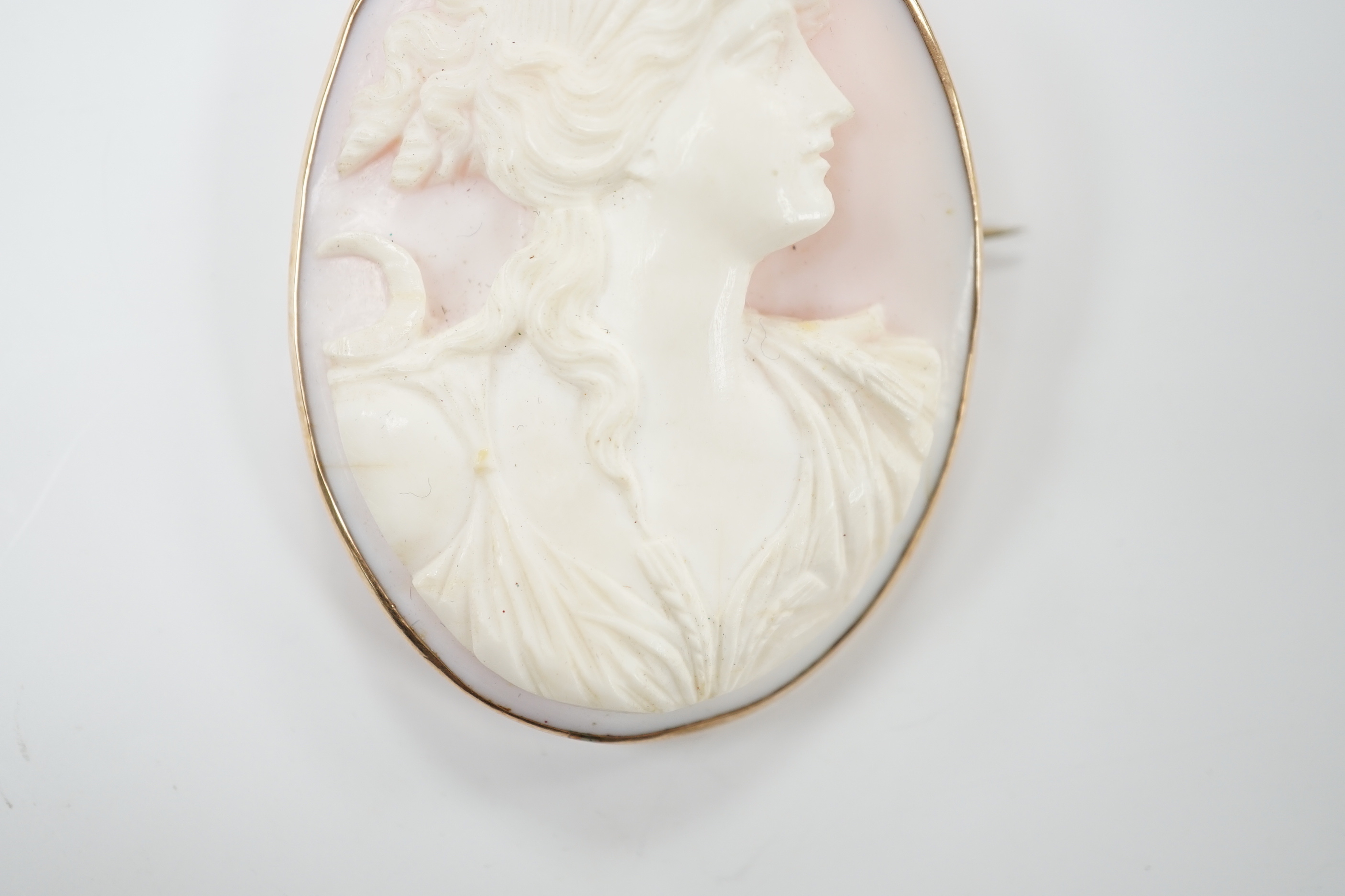 A yellow metal mounted oval cameo brooch, 6cm